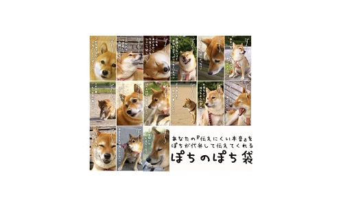 ぽちのぽち袋